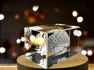 3D Engraved Crystal Brain Art1